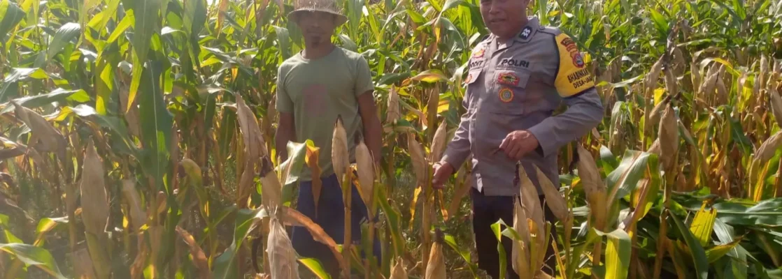 Kapolsek Kuripan: Ketahanan Pangan Harus Dimulai dari Desa