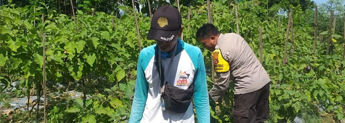 Bhabinkamtibmas Ajak Warga Optimalkan Pekarangan untuk Ketahanan Pangan