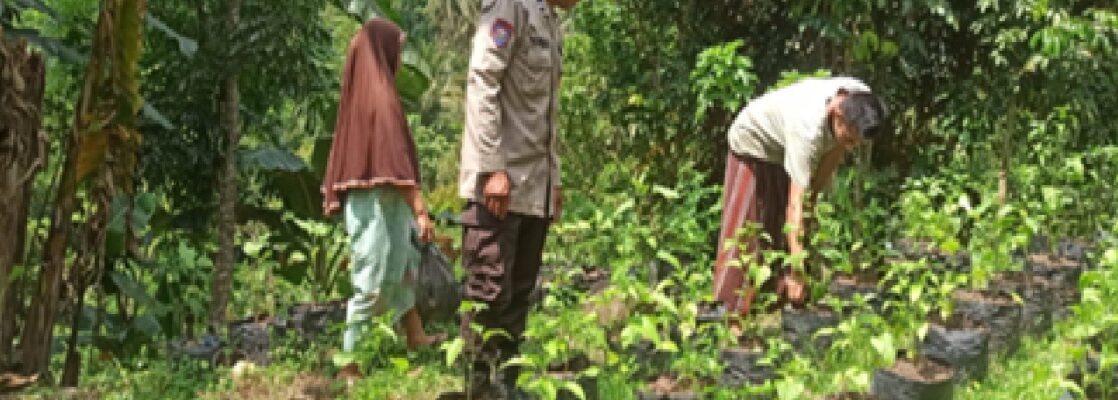 Inovasi Polsek Batulayar: Pertanian Mandiri Jaga Ketahanan Pangan Keluarga