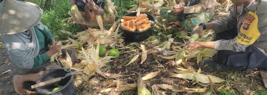 Dari Lahan Pekarangan, Polri Bangun Ketahanan Pangan di Desa