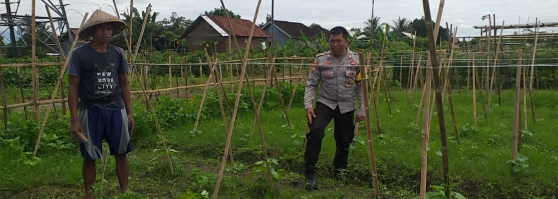 Sinergi Polri dan Petani Jagaraga Wujudkan Kemandirian Pangan