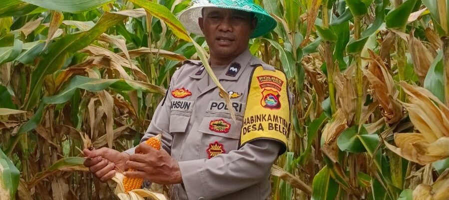 Bhabinkamtibmas Desa Beleka Dampingi Petani Serahkan Hasil Panen ke Bulog