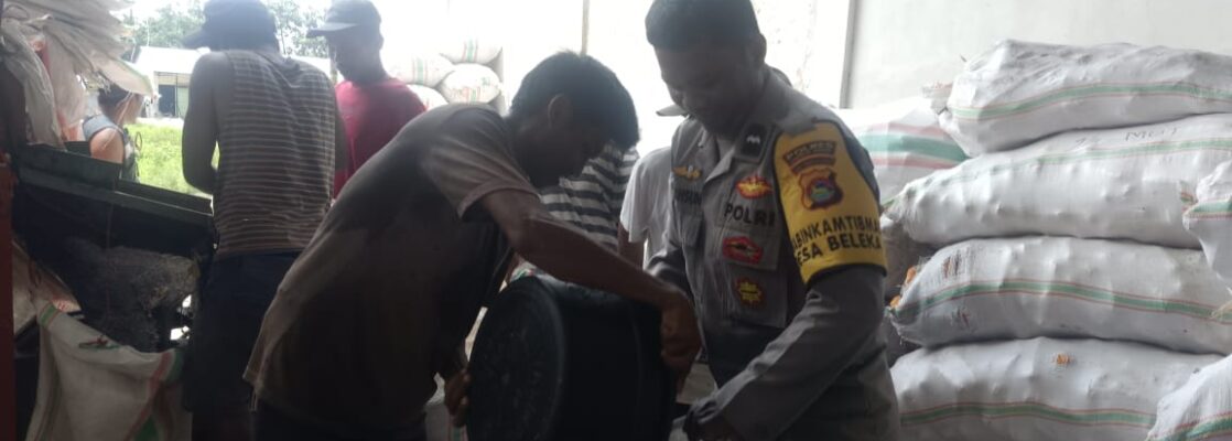 Jaga Kualitas, Polri Bantu Petani Lombok Barat Pipil Jagung