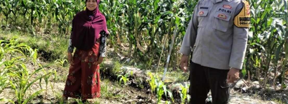 Langkah Nyata Polsek Labuapi Dukung Ketahanan Pangan Keluarga