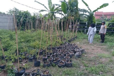 Bhabinkamtibmas Meninting Dorong Optimalisasi Lahan Pekarangan Rumah