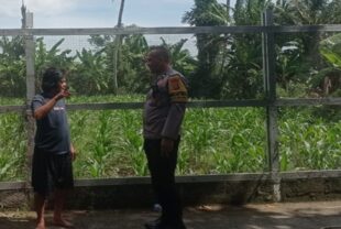 Dukung Ketahanan Pangan, Polri Ajak Warga Labuapi Tanam di Rumah
