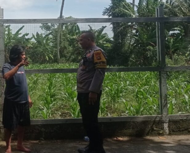 Dukung Ketahanan Pangan, Polri Ajak Warga Labuapi Tanam di Rumah